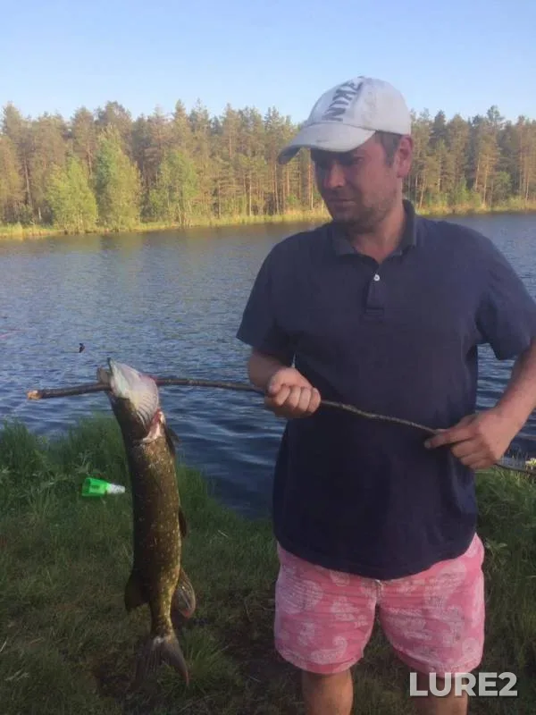 Pike — Kholskovo, Jun 05, 2019