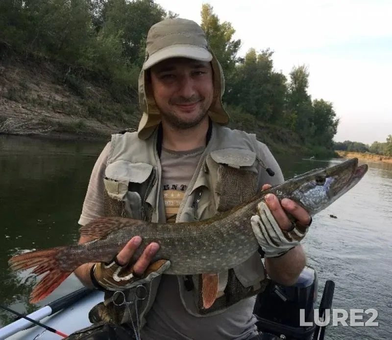 Pike — Orenburgskaya oblast, Jun 13, 2019