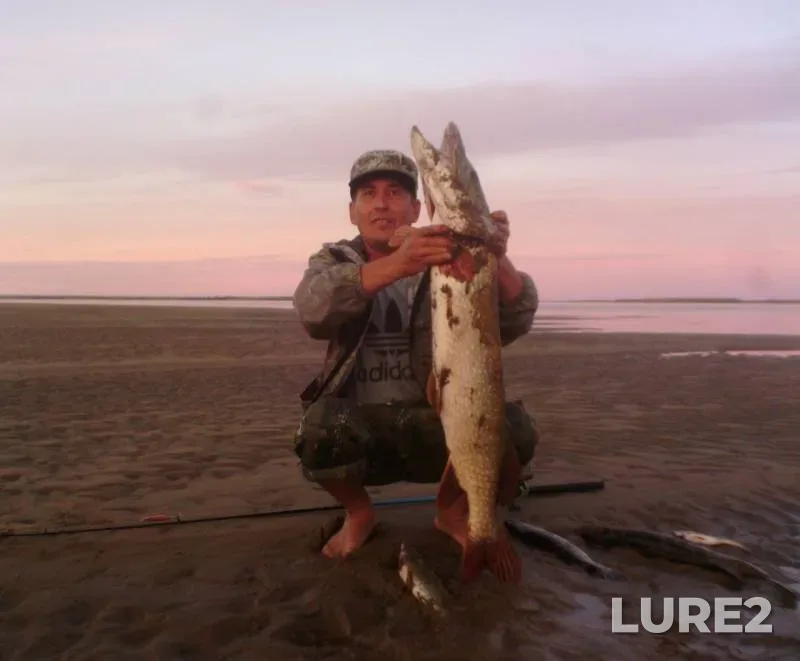 Pike — Lena, Jul 19, 2019