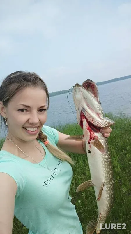 Pike — Khanty-Mansiyskiy avtonomnyy okrug — Yugra, Jul 31, 2019