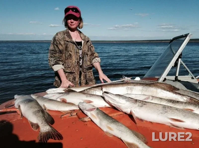 Pike — Lena, Nov 01, 2019