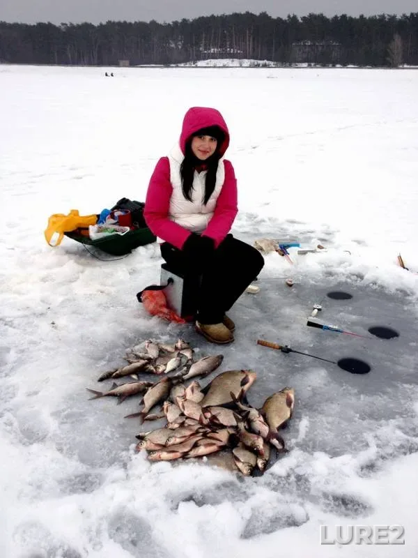 Bream — Sіverskiy Donets / Severskiy Donets, Nov 25, 2019