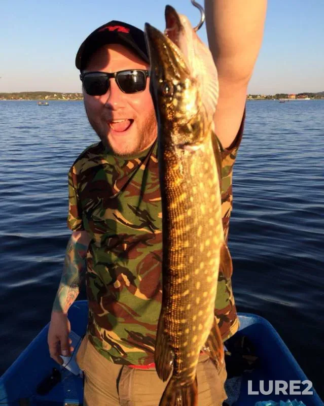 Pike — Sverdlovskaya oblast, Jun 06, 2016