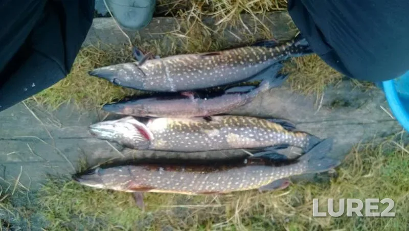 Pike — Stantsionnoye, Jun 14, 2016