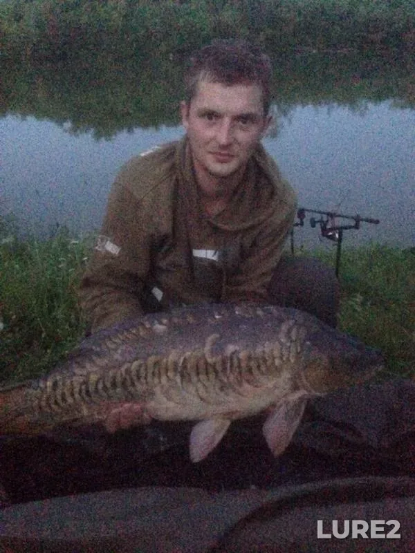 Carp — Kharkіvska oblast, Jun 23, 2016