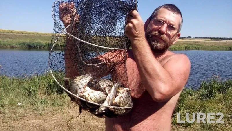 Crucian carp — Khilkovo, Aug 08, 2016
