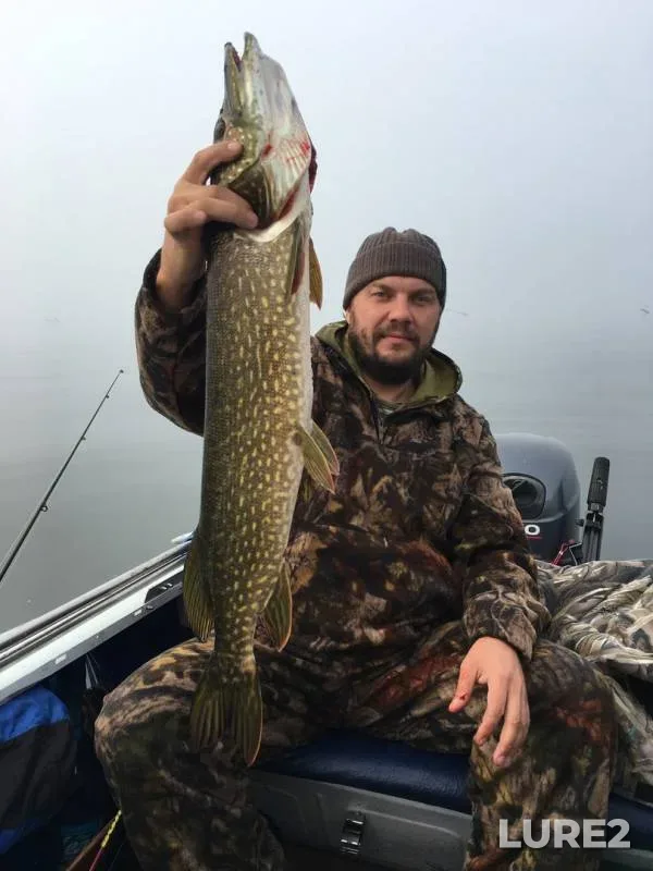 Pike — Angara, Sep 12, 2016