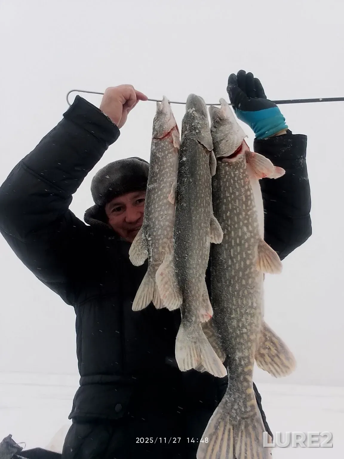 Pike — Shakshinskoye, Nov 28, 2025, 4:39 AM