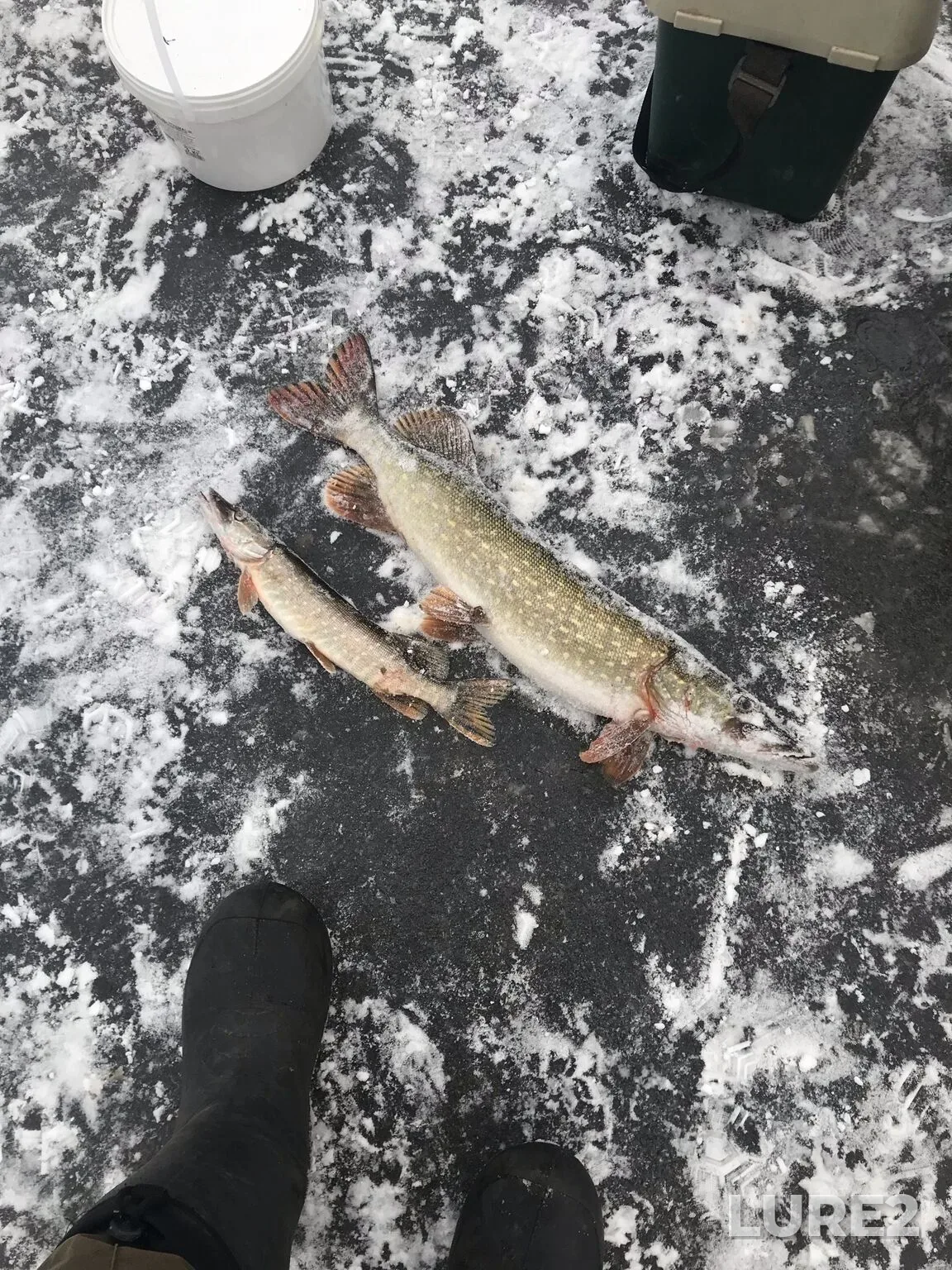 Pike — Larionovskiy, Nov 28, 2025, 4:18 PM