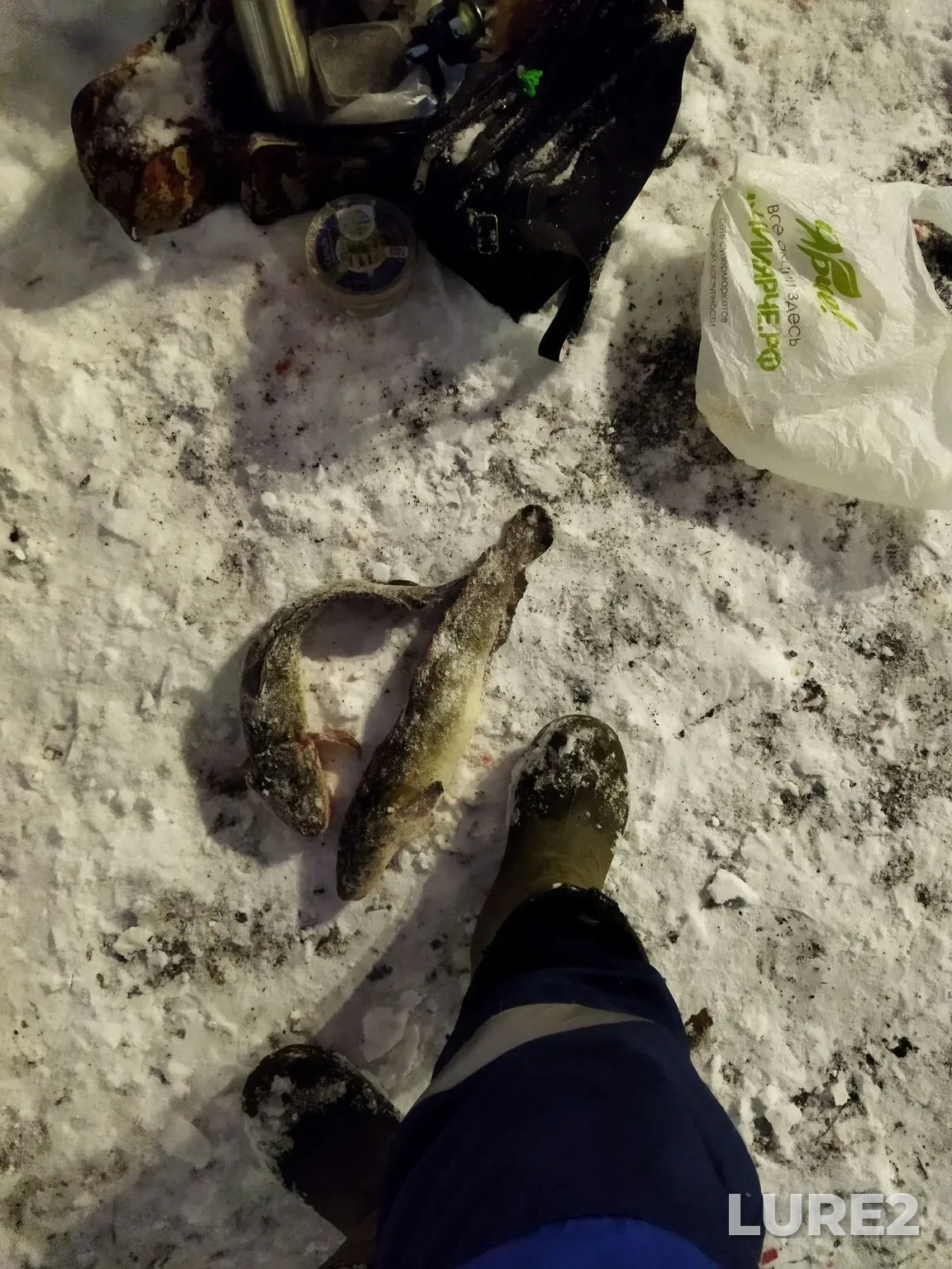 Burbot — Om, Dec 09, 2025, 12:47 AM