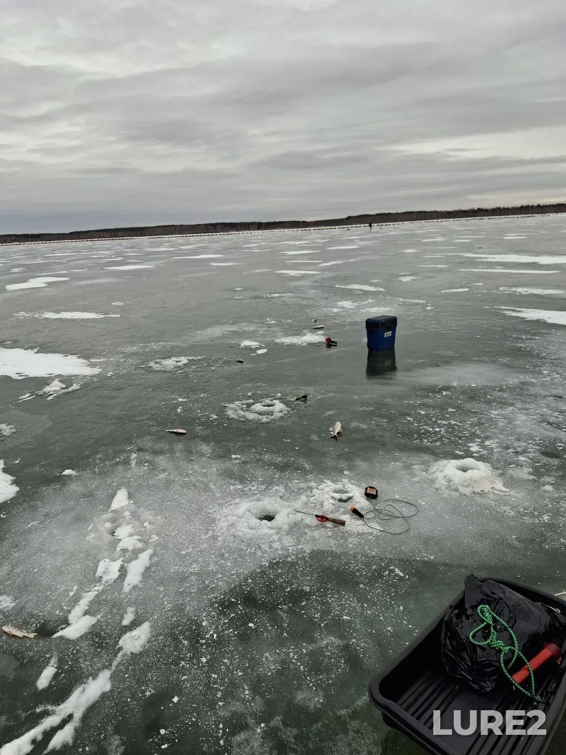 Perch, Zander — Andreyevskoye, Dec 13, 2025, 11:32 AM