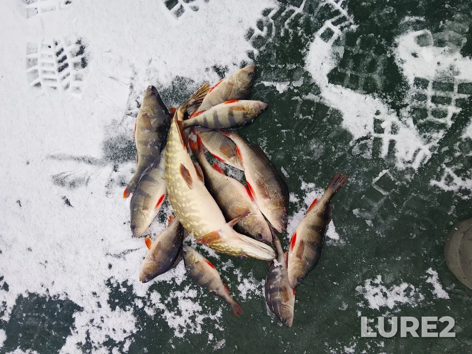 Perch — Volgo-Donskoy sudokhodnyy kanal im. V. I. Lenina, Dec 21, 2025, 3:46 AM