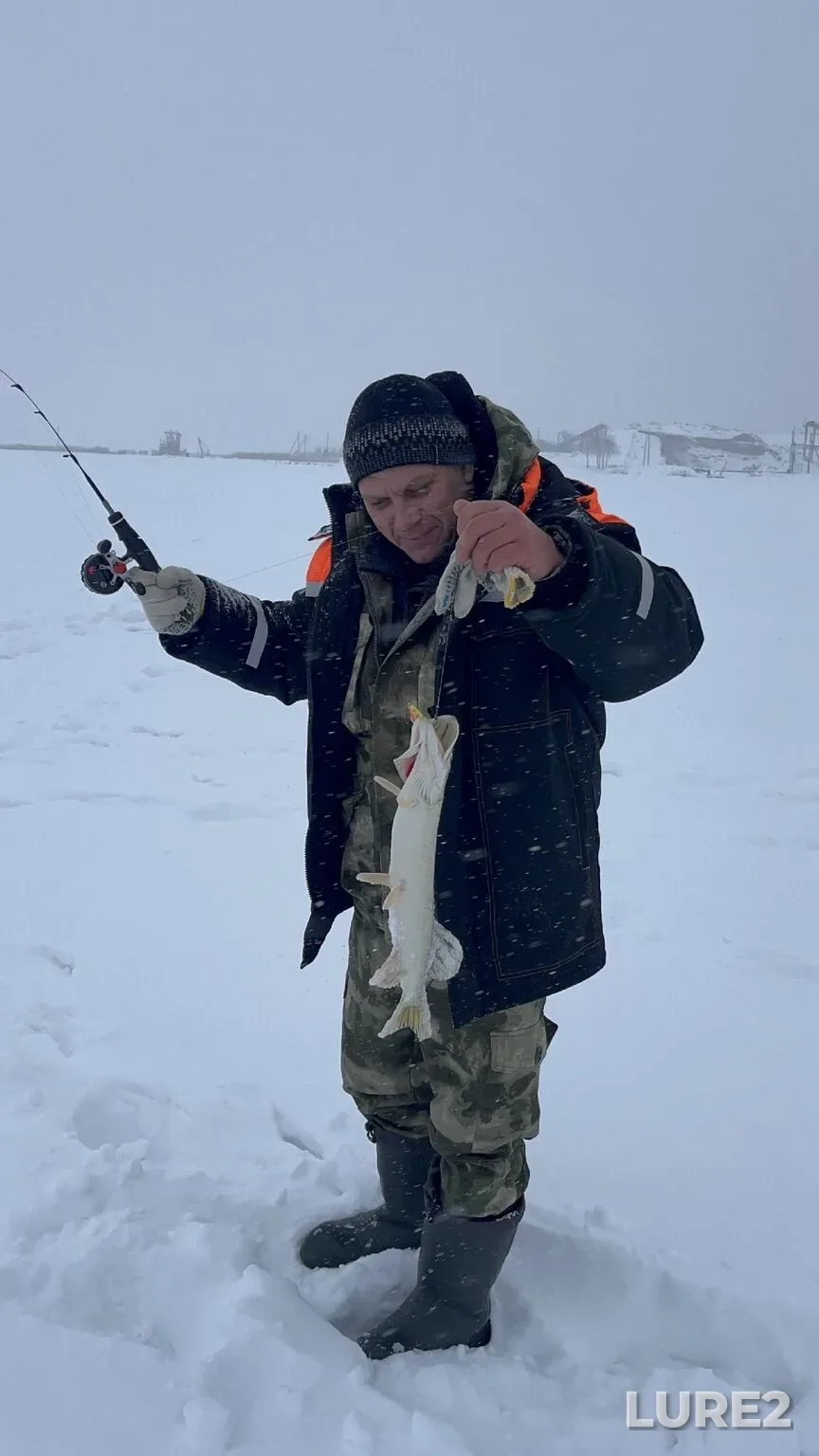 Pike — Andreyevskoye, Dec 30, 2025, 4:49 AM