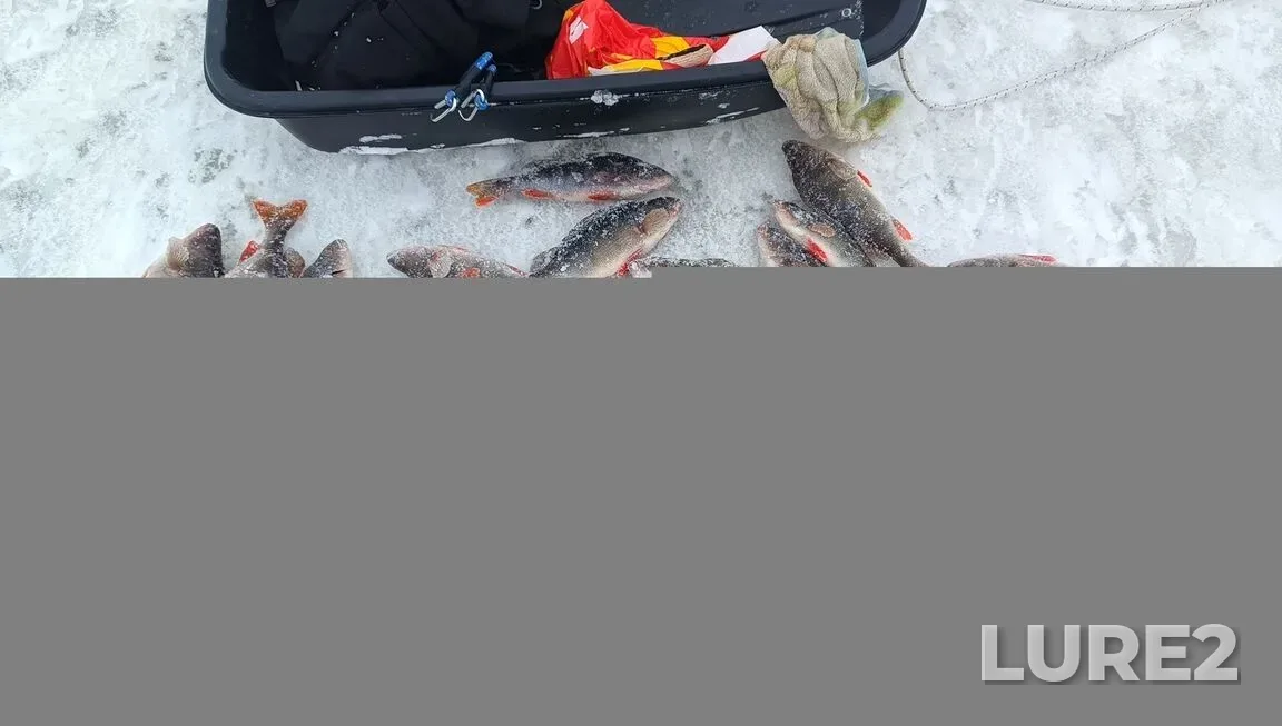 Perch — Cheboksarskoye, Jan 05, 2:45 PM
