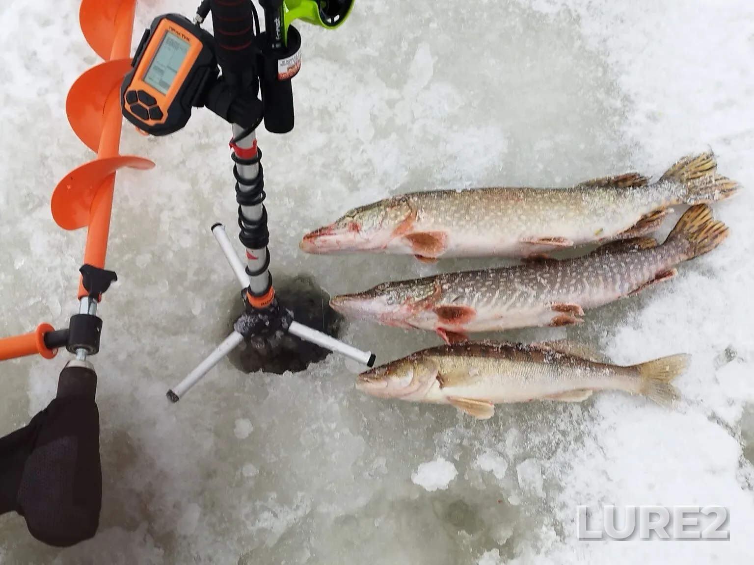 Pike — Cheboksarskoye, Jan 10, 4:36 AM