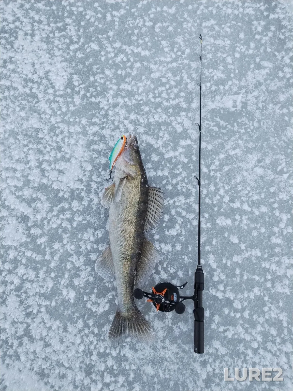 Zander — Saratovskoye, Jan 12, 8:52 AM