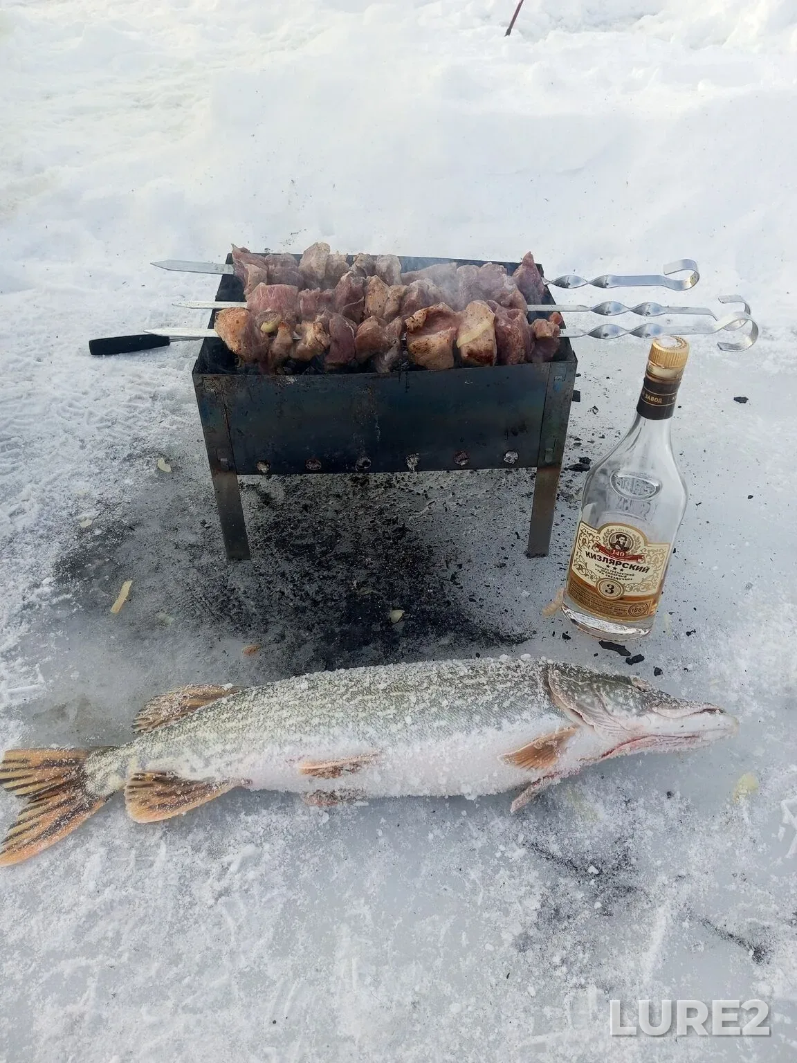 Pike — Teptyargi, Jan 12, 11:35 PM
