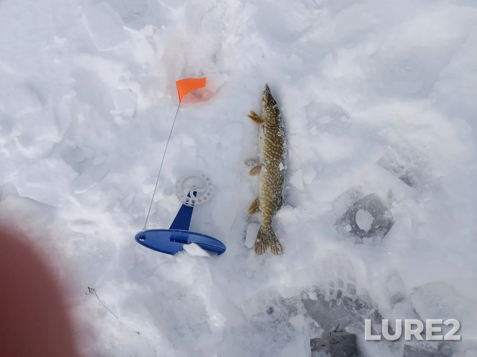 Pike — Ulagach, Feb 06, 12:41 PM