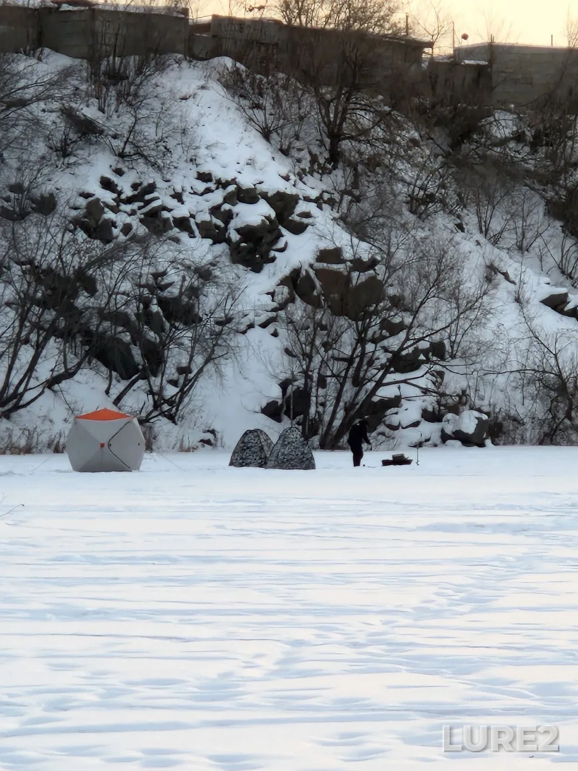 Crucian carp — Sugoyak, Feb 06, 6:50 PM