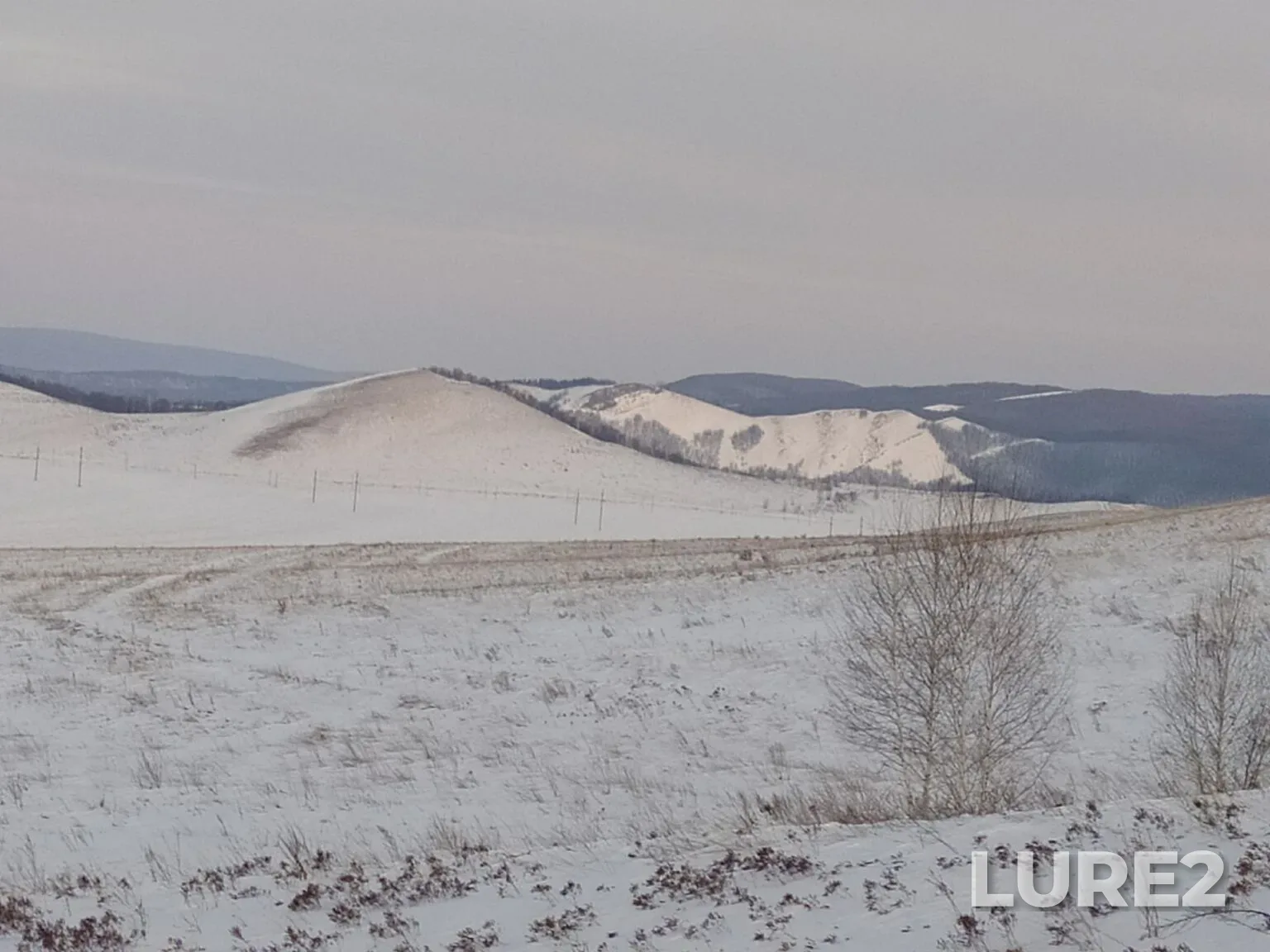 Bream, White bream — Yumaguzinskoye, Feb 06, 7:51 PM