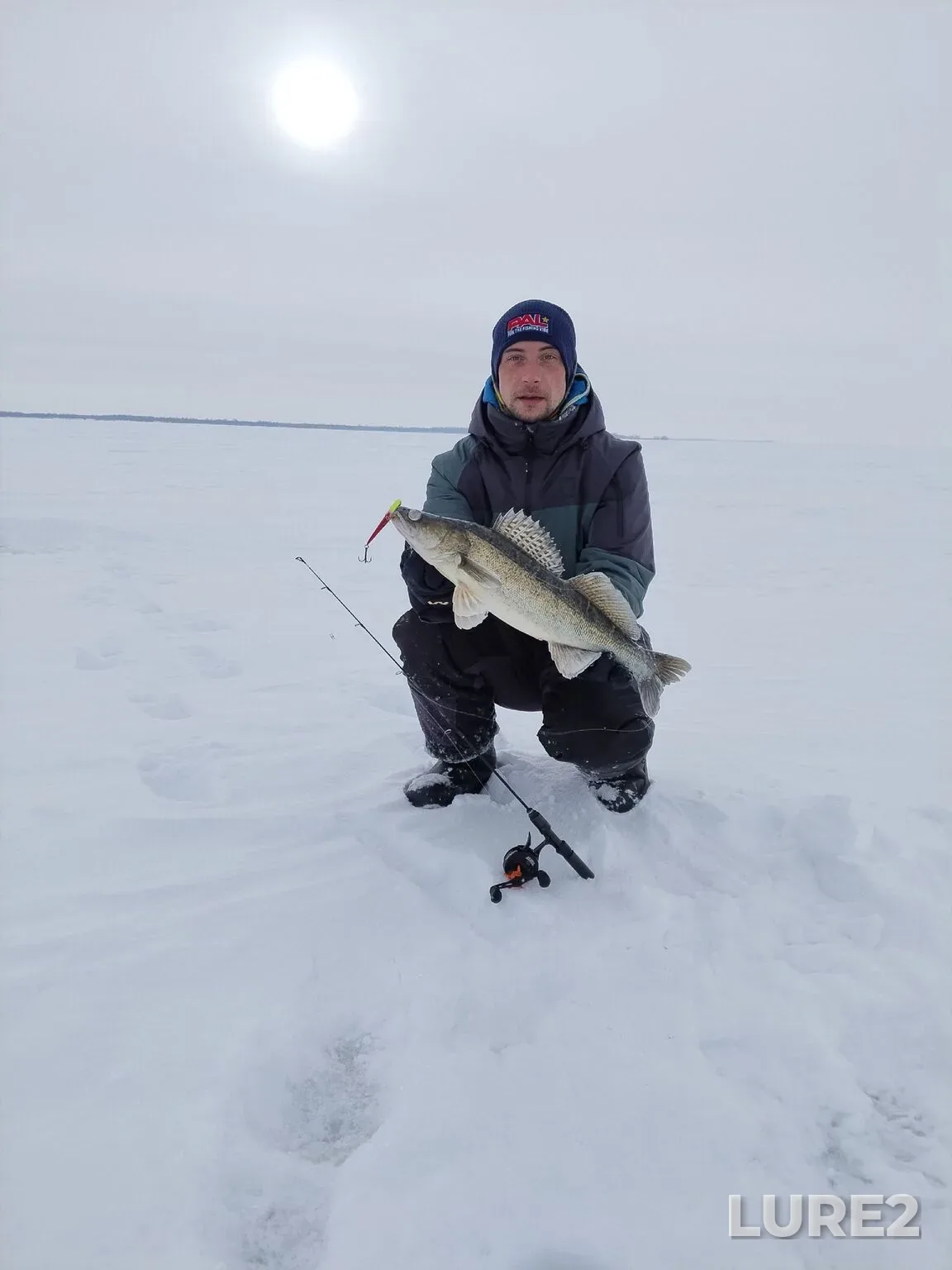 Zander — Saratovskoye, Feb 08, 1:54 AM
