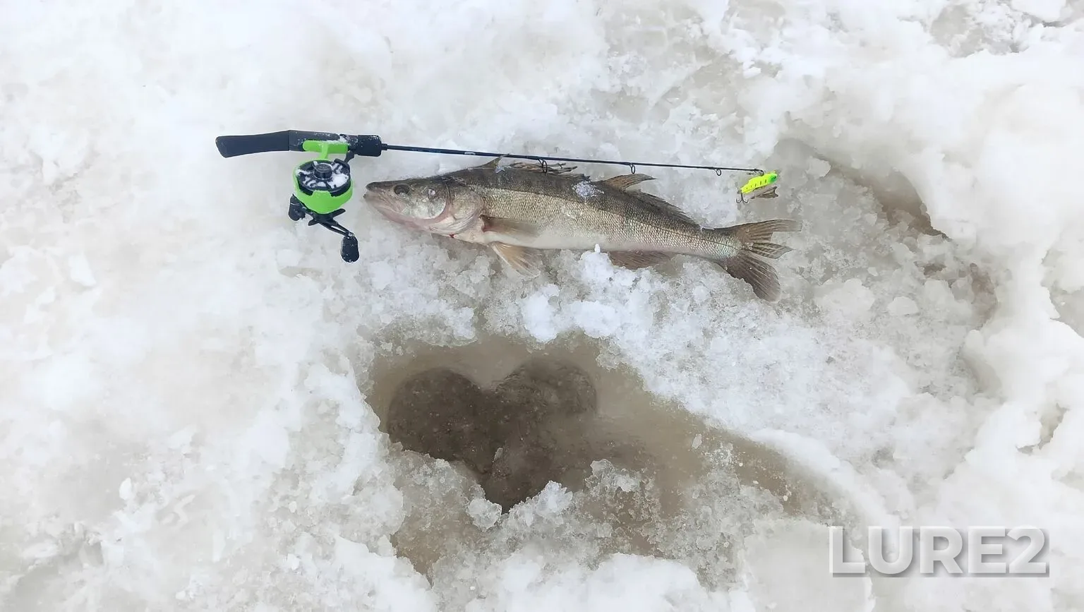 Zander — Kamskoye, Feb 16, 12:00 AM