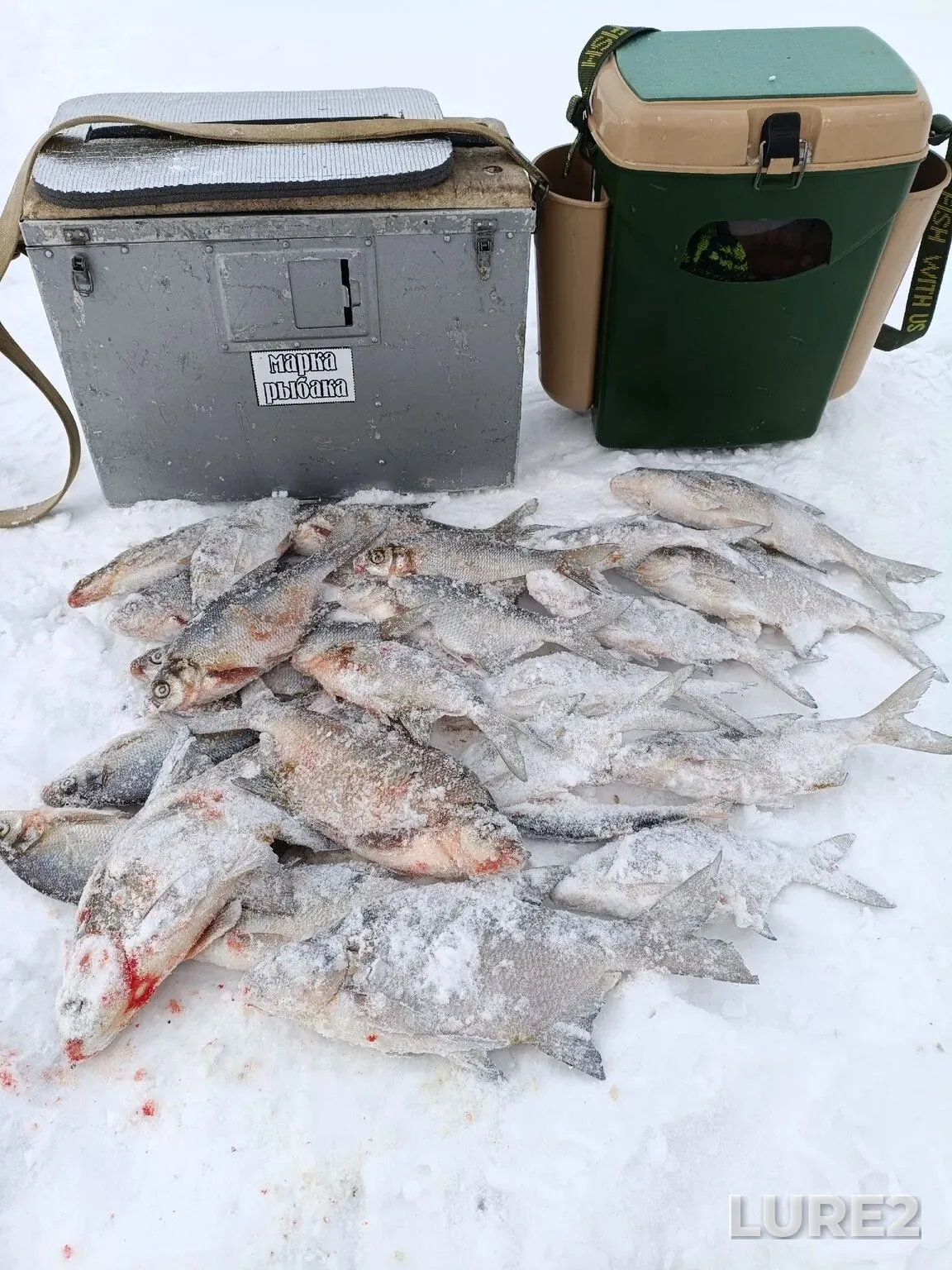 Bream — Akatovskoye, Feb 20, 5:45 AM
