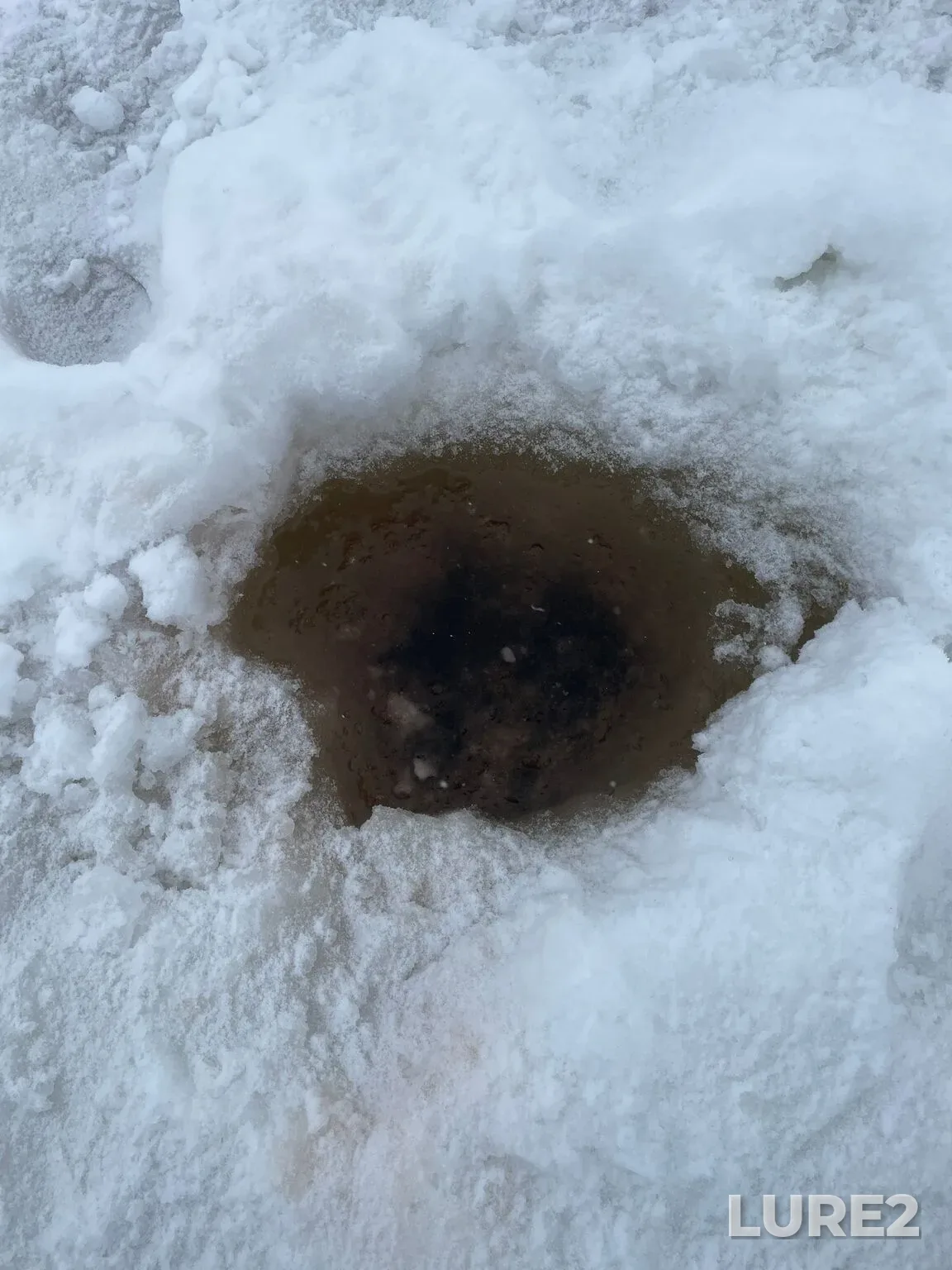 Pike — Dzerzhinskiy zaton, Feb 28, 6:51 PM