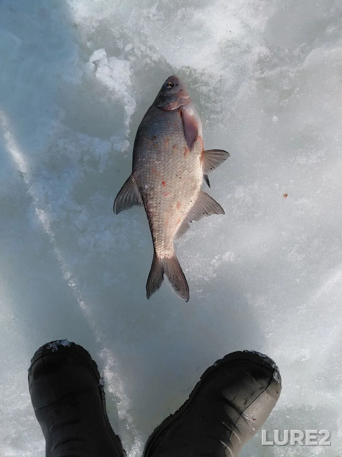 Bream — Istrinskoye, Mar 14, 9:00 PM