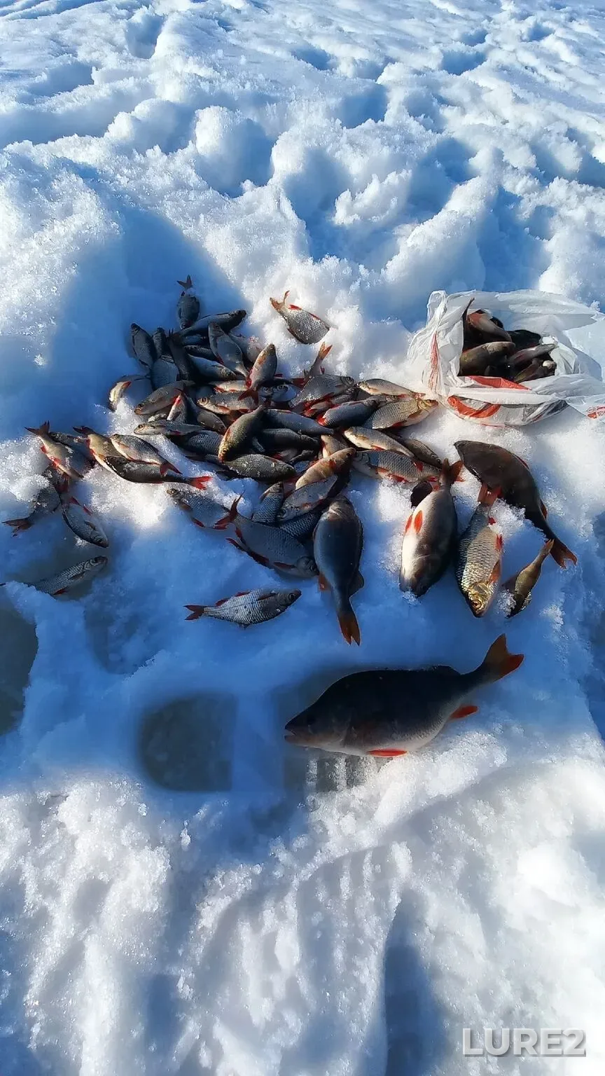 Perch — Nizhnekamskoye, Apr 09, 6:25 PM