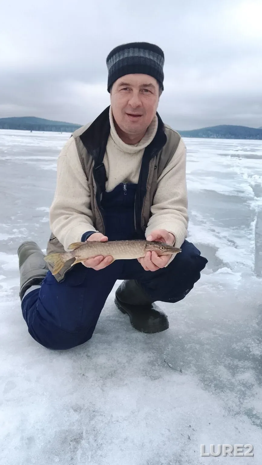 Zander — Volchikhinskoye, Apr 09, 9:56 PM