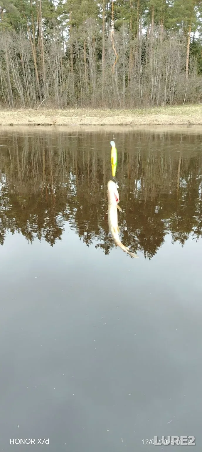 Pike — Bolshaya Tigma, Apr 13, 3:19 AM