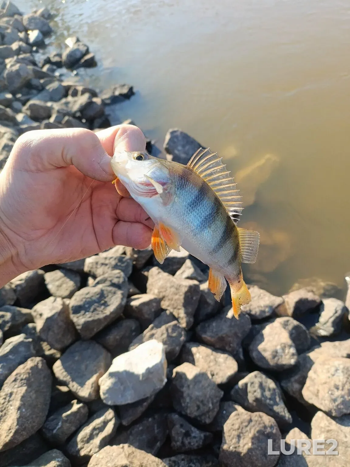 Perch — Obrochnoye, Apr 15, 12:31 PM