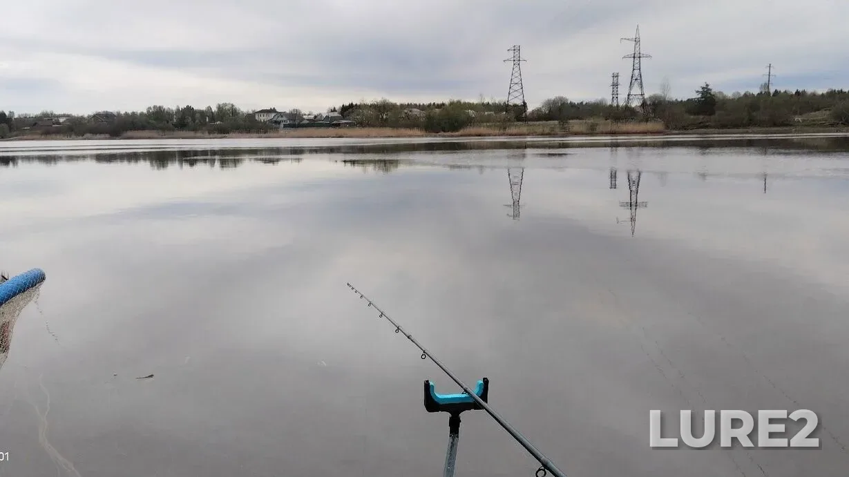 Bream, Crucian carp — Volkhov, May 08, 1:59 PM
