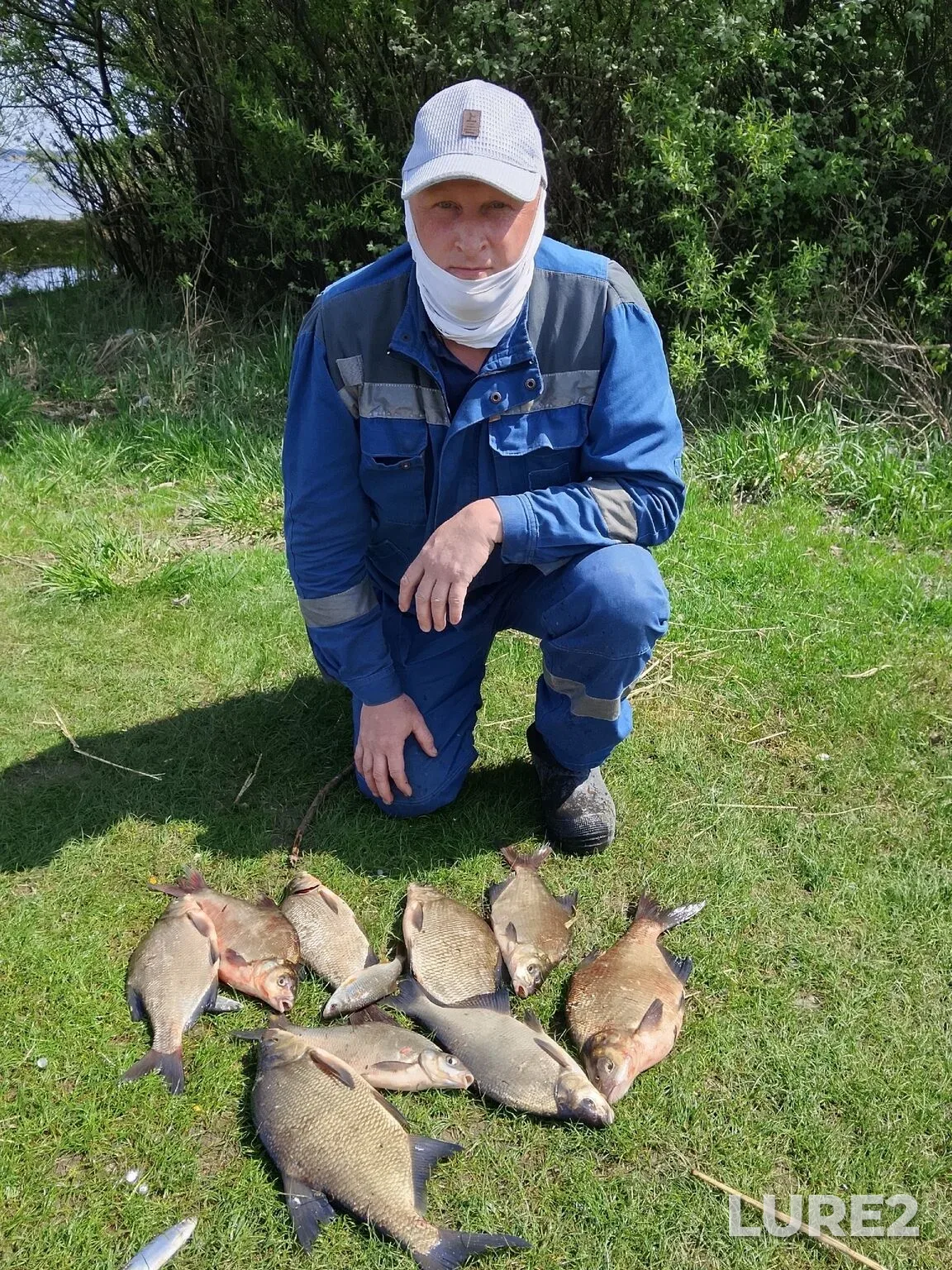 Bleak, Bream — Matyrskoye, May 11, 4:00 PM