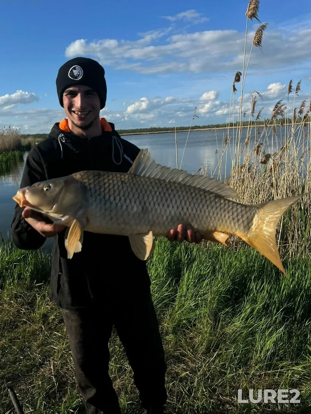 Carp — Bokalda, May 17, 2:31 AM