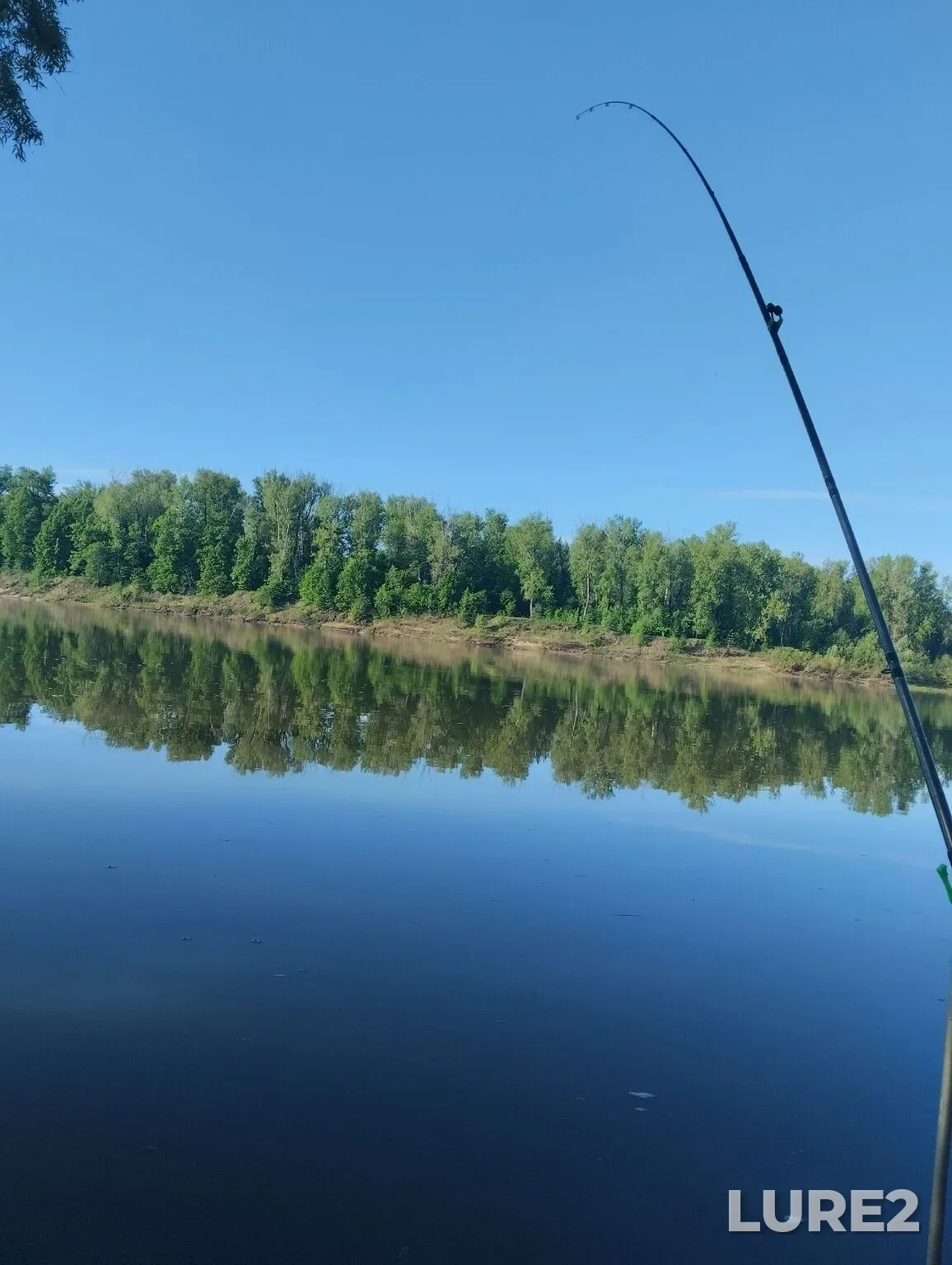 Bream, Pike — Ufa, May 17, 11:11 PM