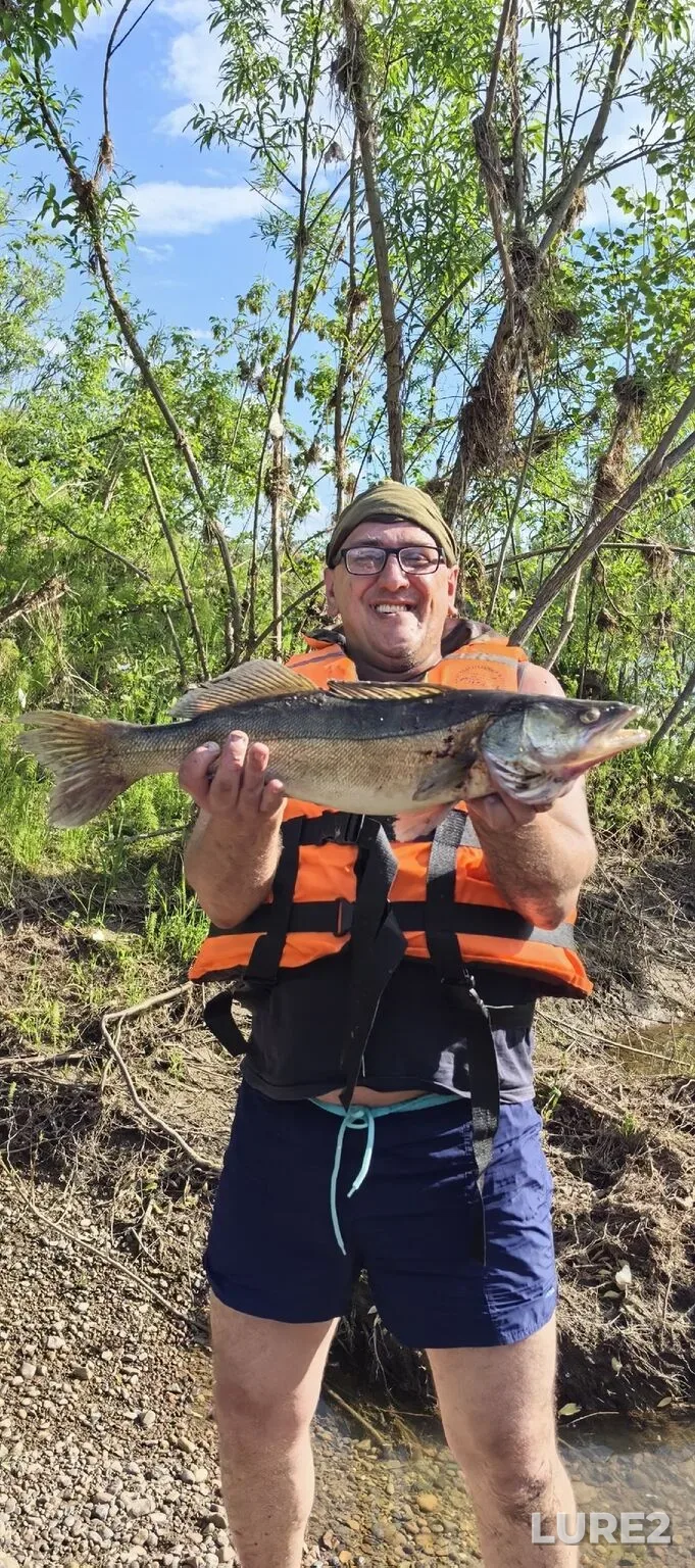 Zander — Tom, Jun 12, 8:23 AM