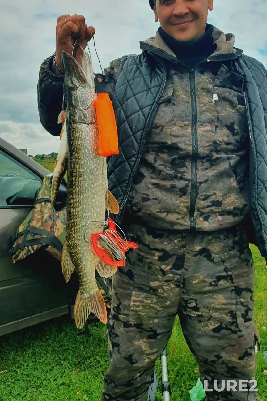 Carp, Pike — Beloye, Jun 12, 10:13 AM
