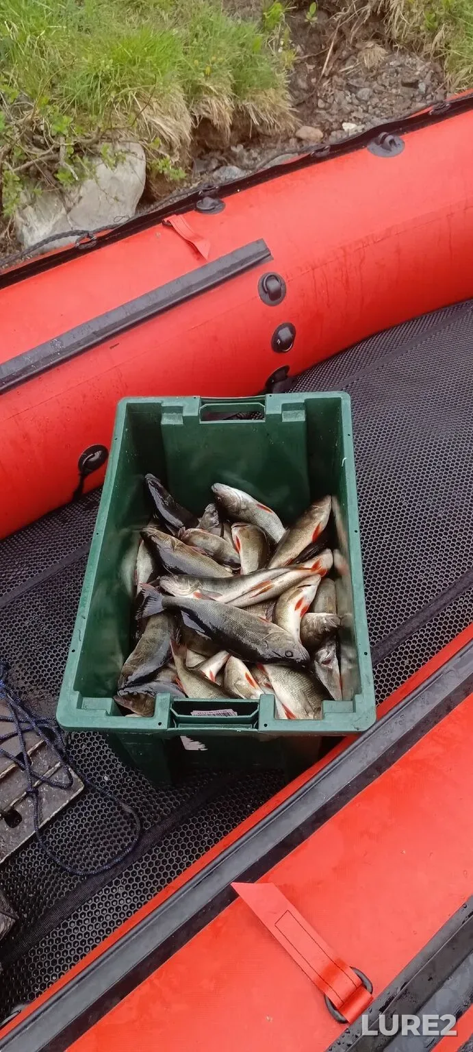 Perch — Imandra, Jun 13, 5:43 AM