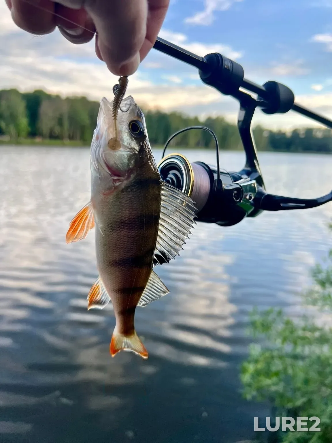 Perch — karyer Volkusha, Jun 13, 6:46 AM