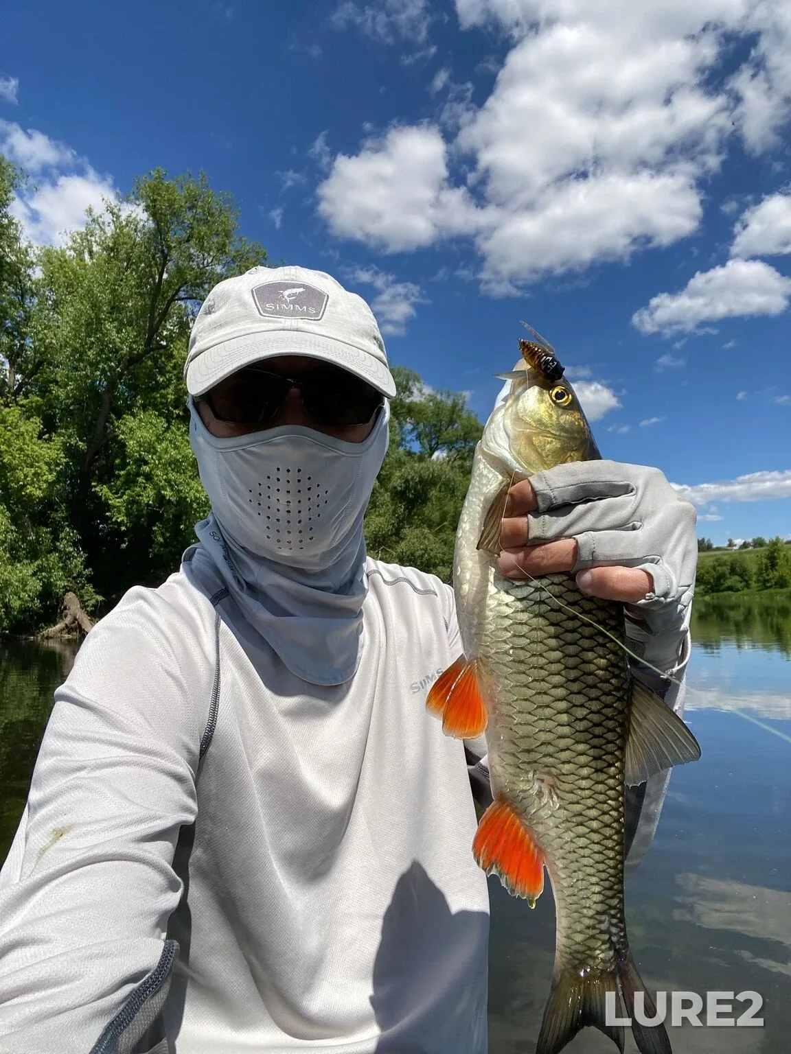 Chub — Don, Jun 13, 11:56 AM