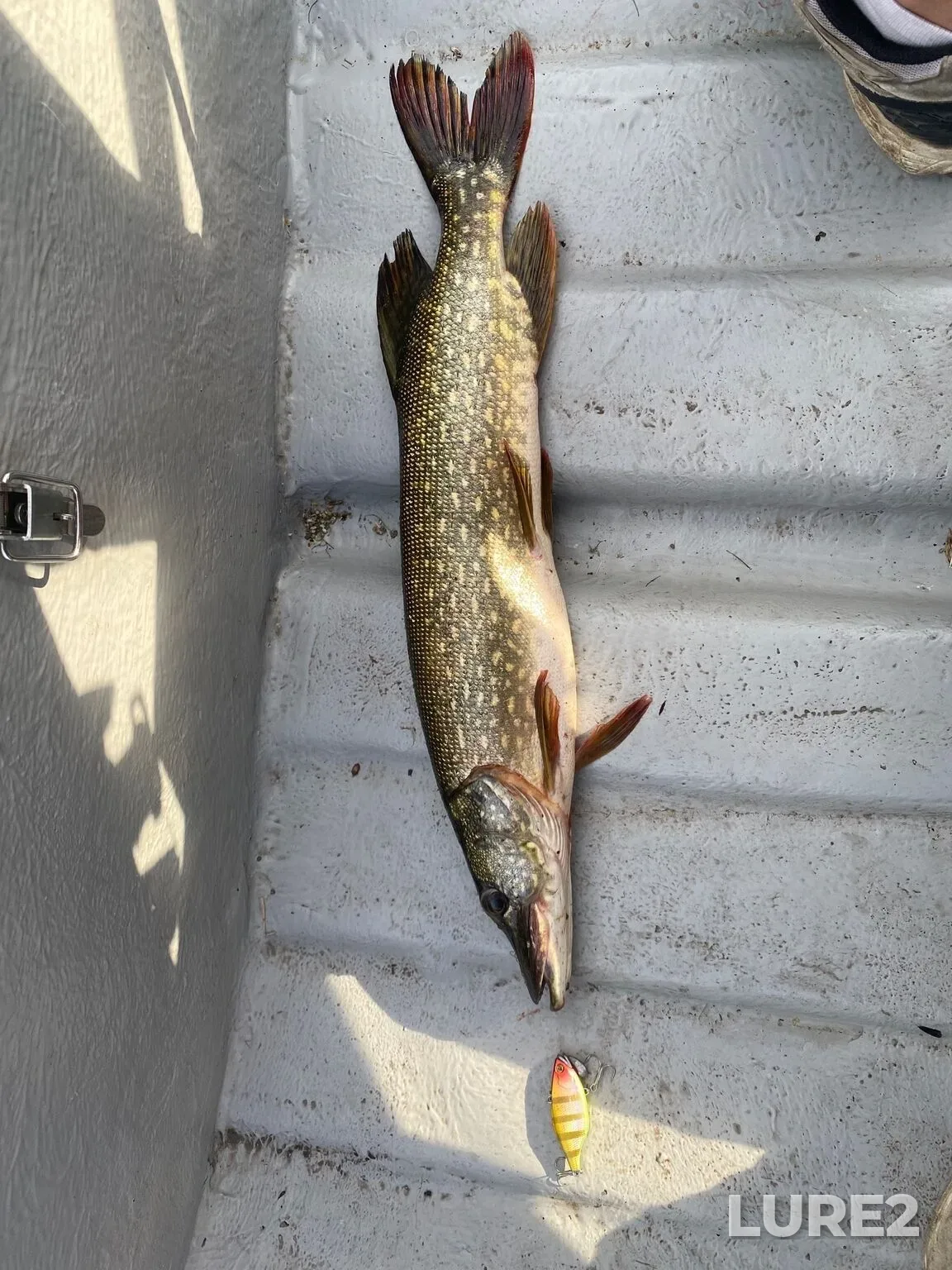 Pike — Malyy Kremenkul, Jun 14, 4:24 AM