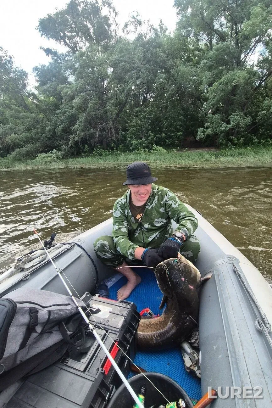 Wels catfish — Don, Jun 23, 9:47 AM