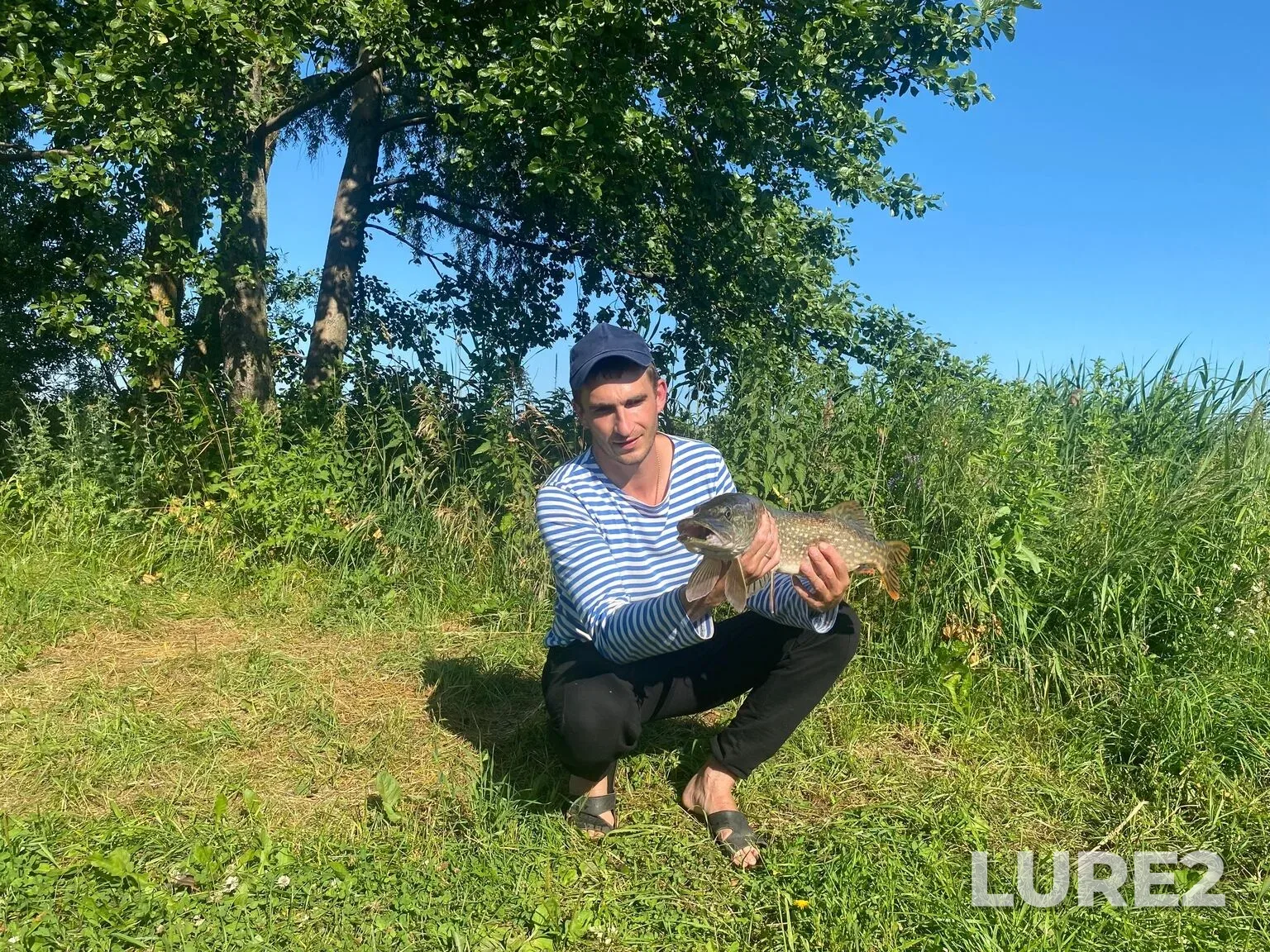 Carp, Crucian carp — Nikolaveskiy platnik, Jul 06, 6:53 PM