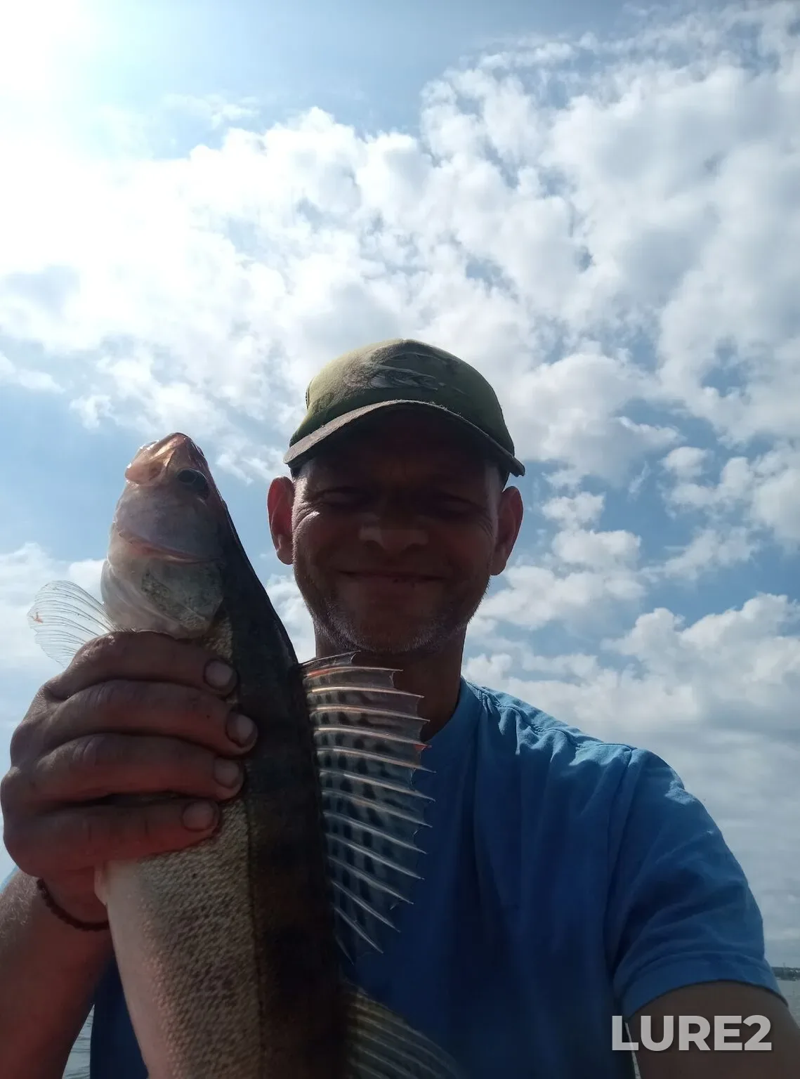 Zander — Kuybyshevskoye, Jul 13, 5:56 PM