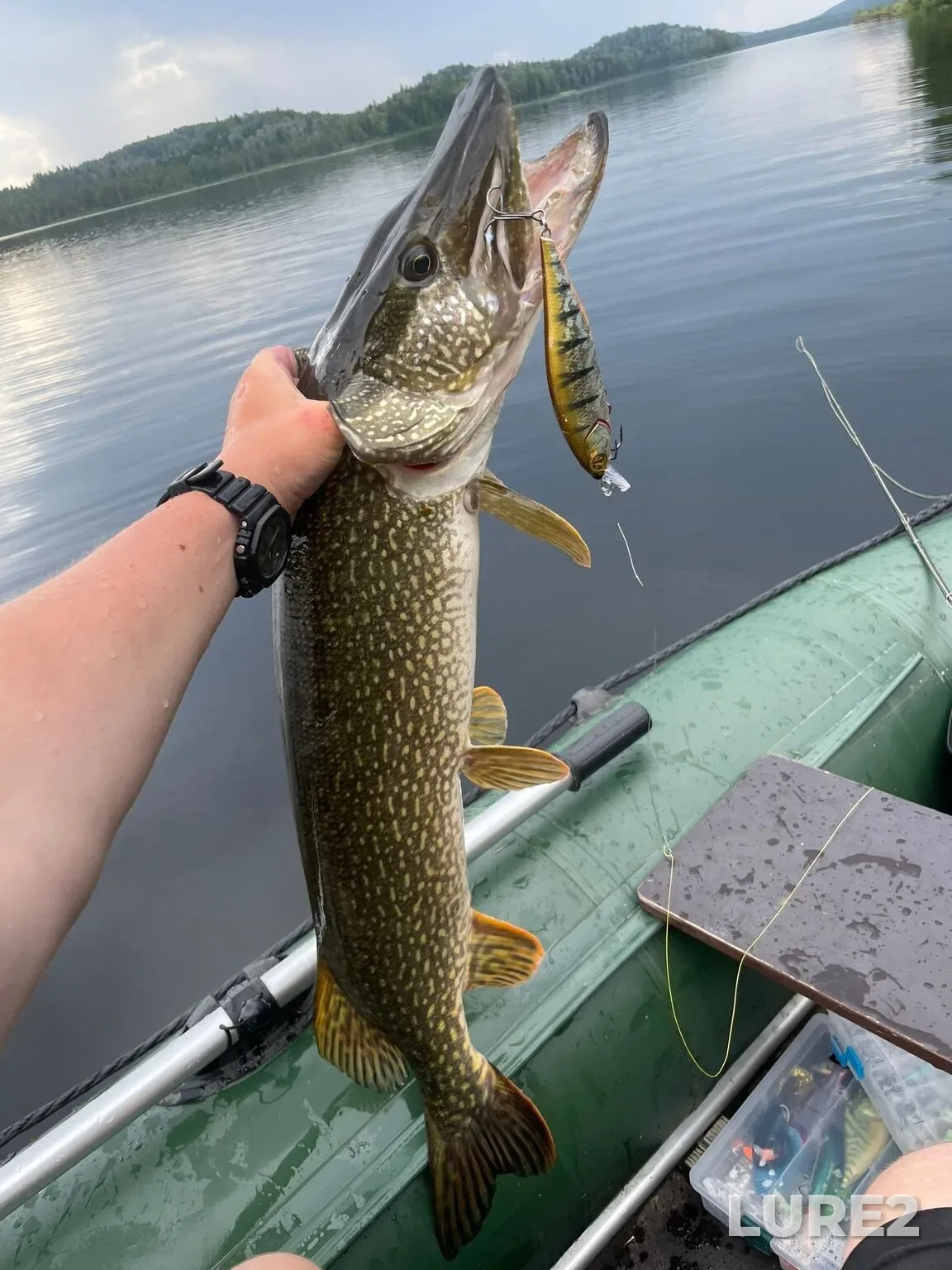 Pike — Mozharskoye, Aug 20, 5:07 PM
