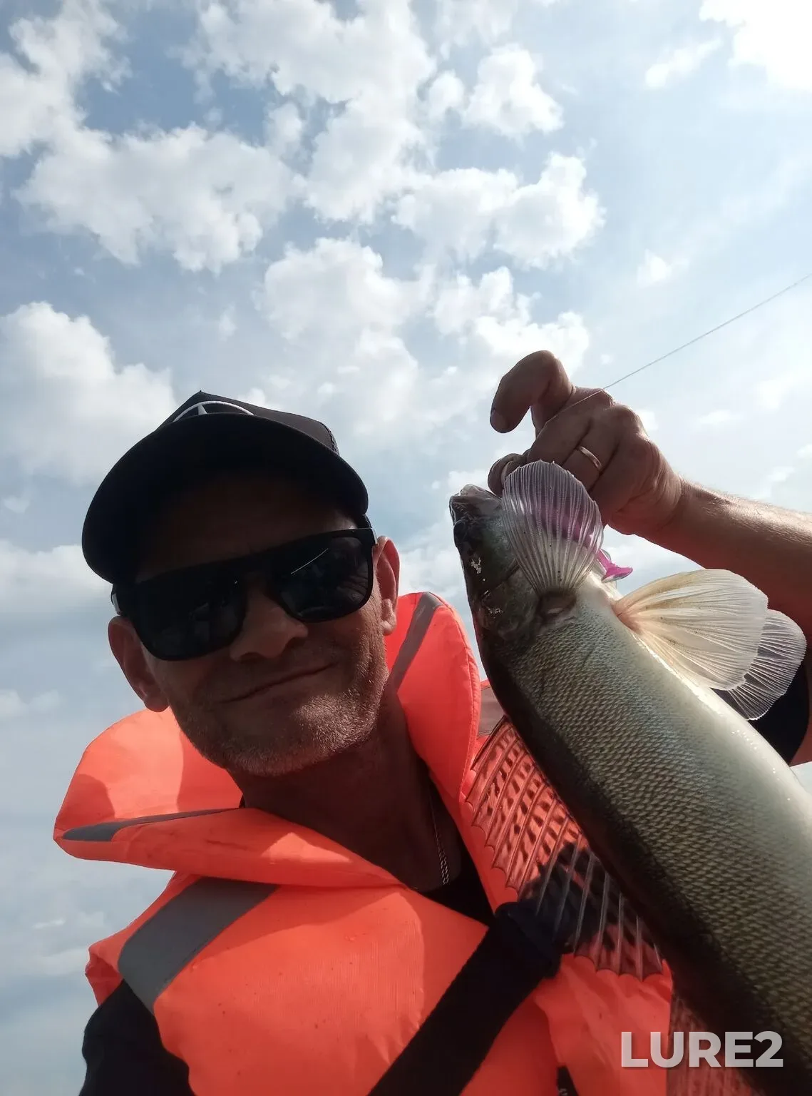 Zander — Kuybyshevskoye, Aug 21, 3:31 PM