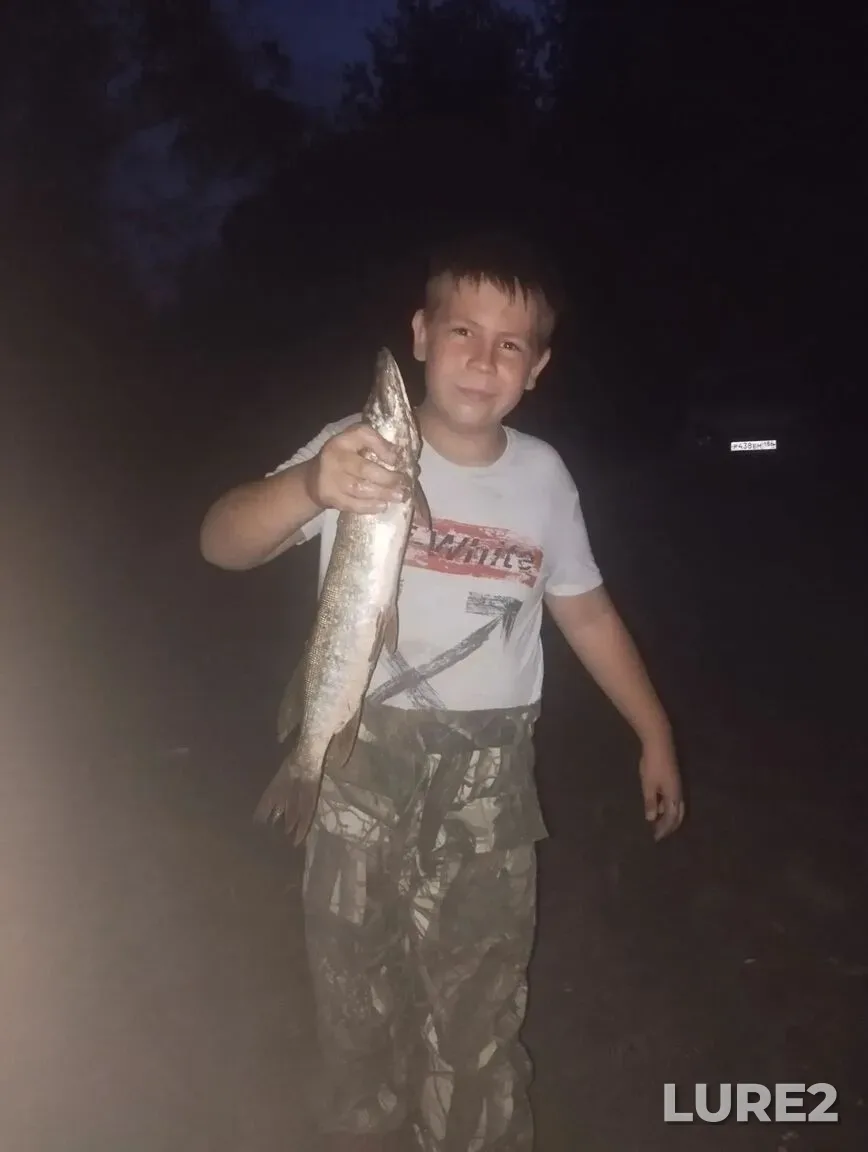 Pike — Matusova Yama, Aug 22, 7:41 AM