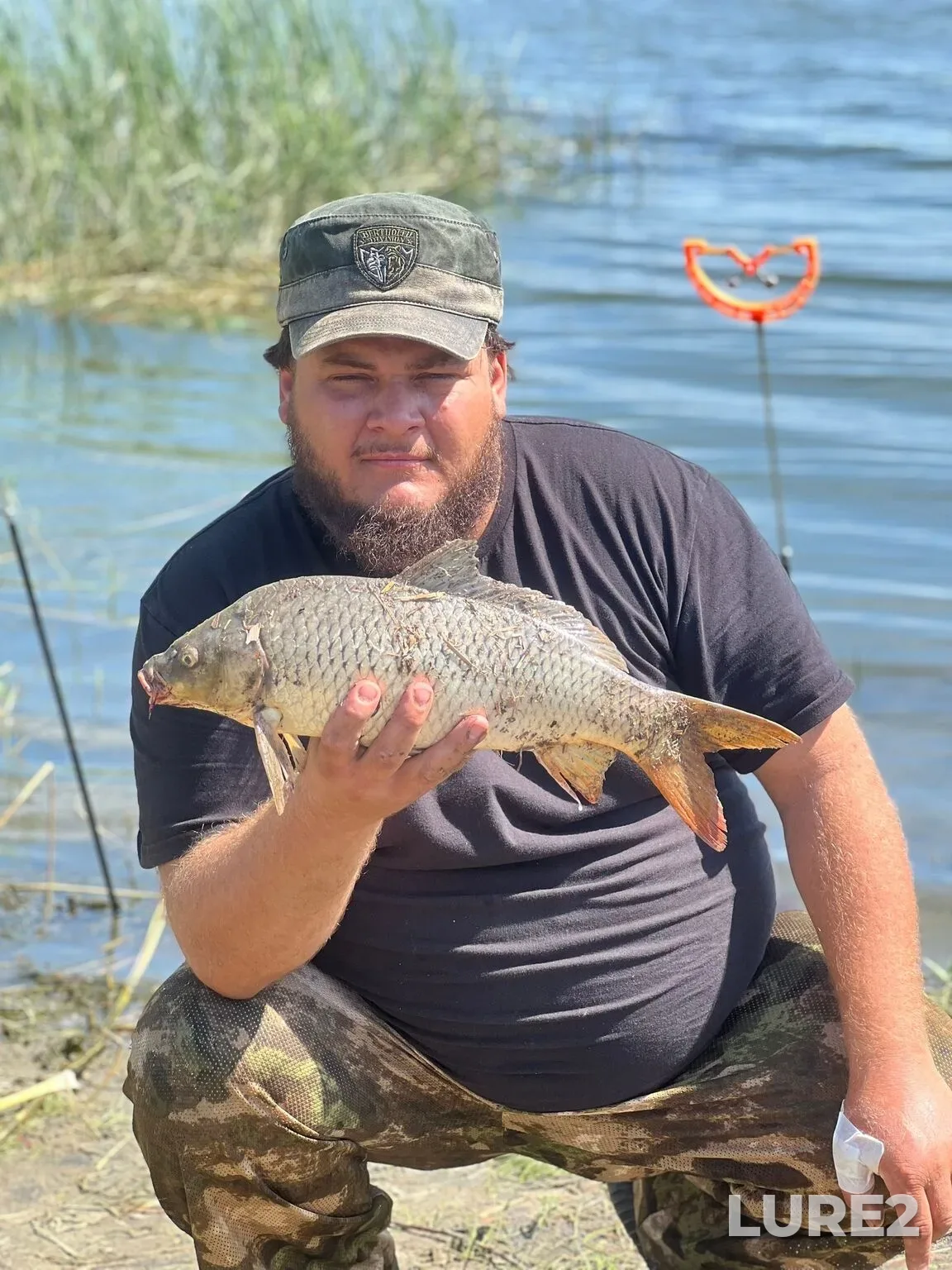 Bream, Carp — Tsimlyanskoye, Aug 23, 2:36 PM